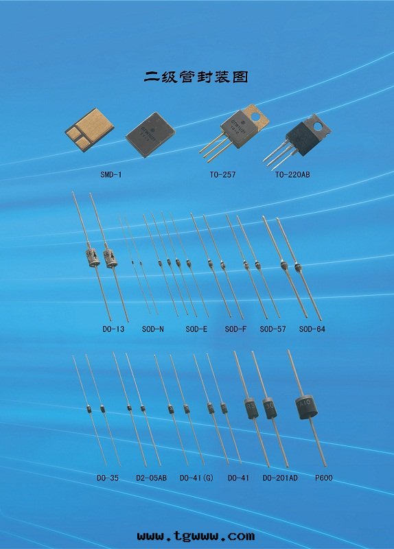 5-6页(yè)==.jpg 5-6页(yè)==.jpg