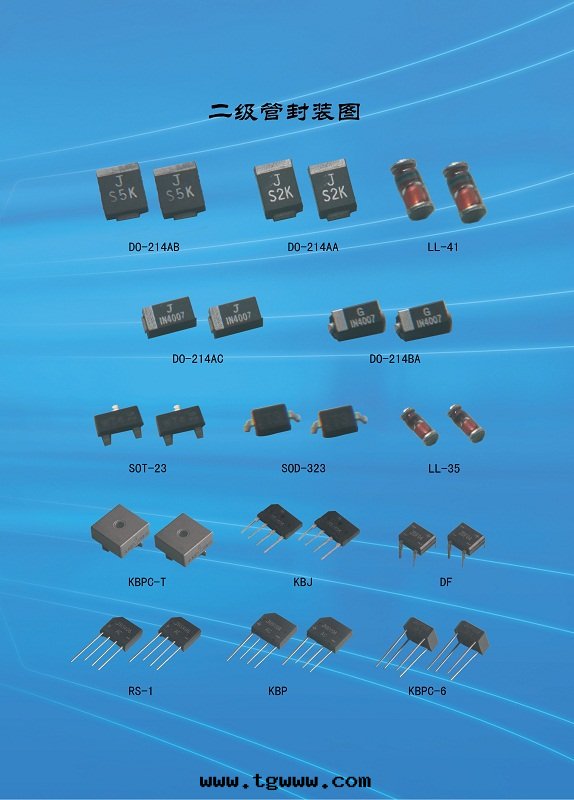 5-6页(yè)2==.jpg 5-6页(yè)2==.jpg